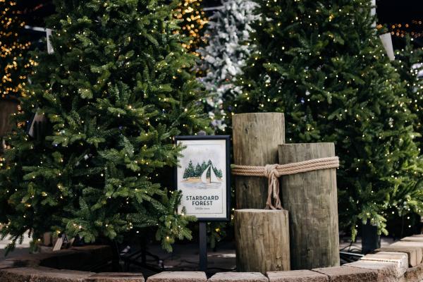 Our 2025 Guide to Lifelike Trees