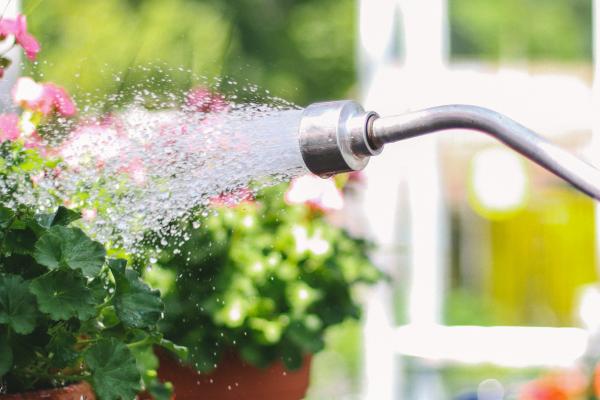 5 Best Ways to Keep Your Garden Watered for the Season