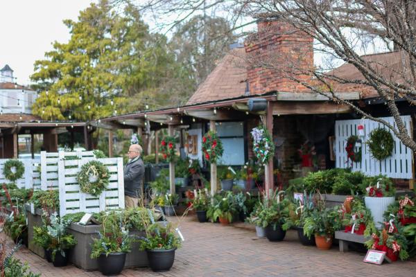  Fresh Greens You Should Use in Your Porch Decor
