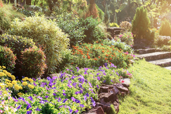 5 Best Ways to Keep Your Garden Happy In the Heat, McDonald Garden Center