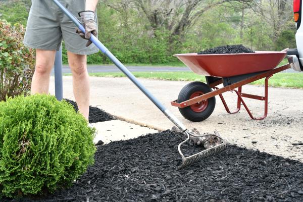 Fall Mulching Myth Busters: What Not to Do and How to Do It Right