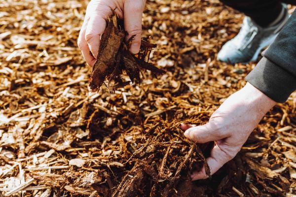 Which Mulch is Best for Your Landscape?