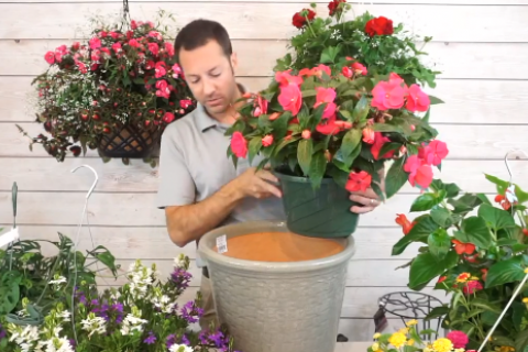 Mike the Garden Guru planting a container