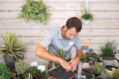 Mike making a succulent combo