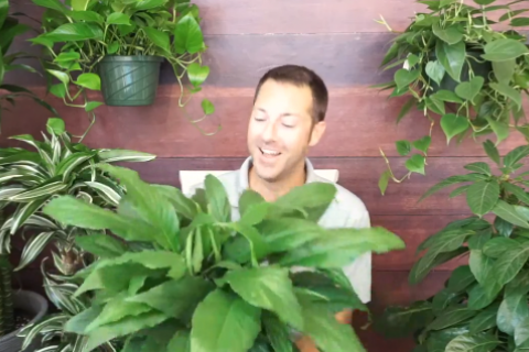 mike with pothos