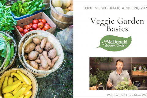 Grow Your Own Food - Veggie Gardening Basics, McDonald Garden Center