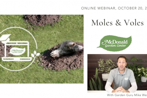 The Solution to Moles & Voles, McDonald Garden Center
