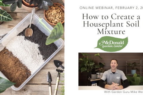 How to Create a Houseplant Soil Mixture