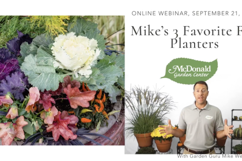 Mike's 3 Favorite Fall Planters