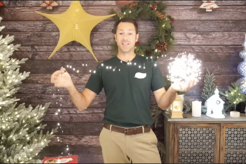 How to Light Up Your Holidays, McDonald Garden Center