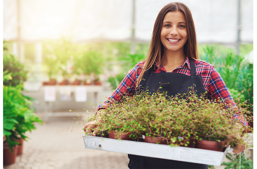 McDonald Garden Center Photo