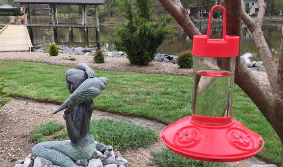 Hummingbird Feeder