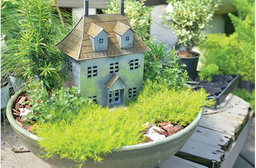 Miniature Gardens, McDonald Garden Center