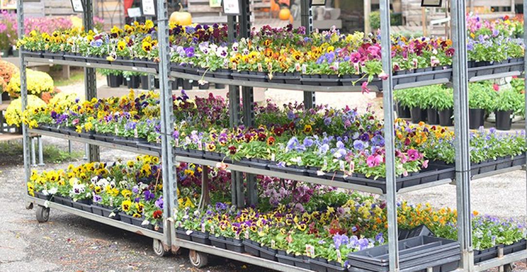 McDonald Garden Center Photo