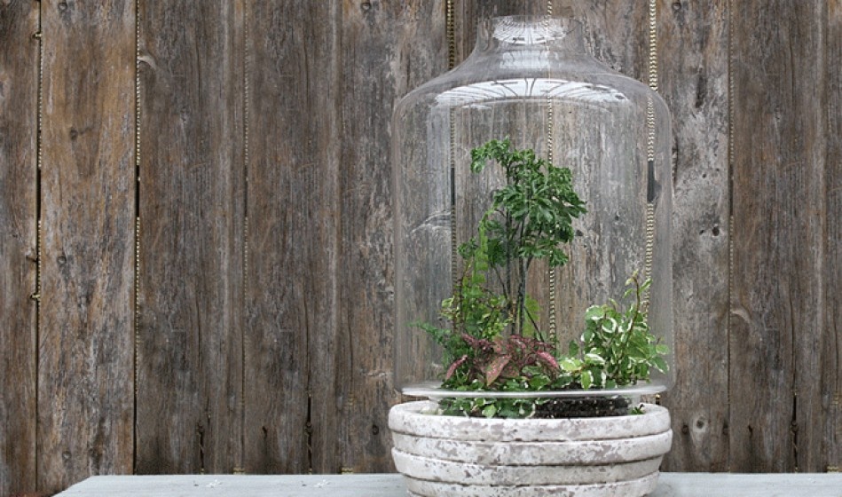 McDonald Garden Center Photo