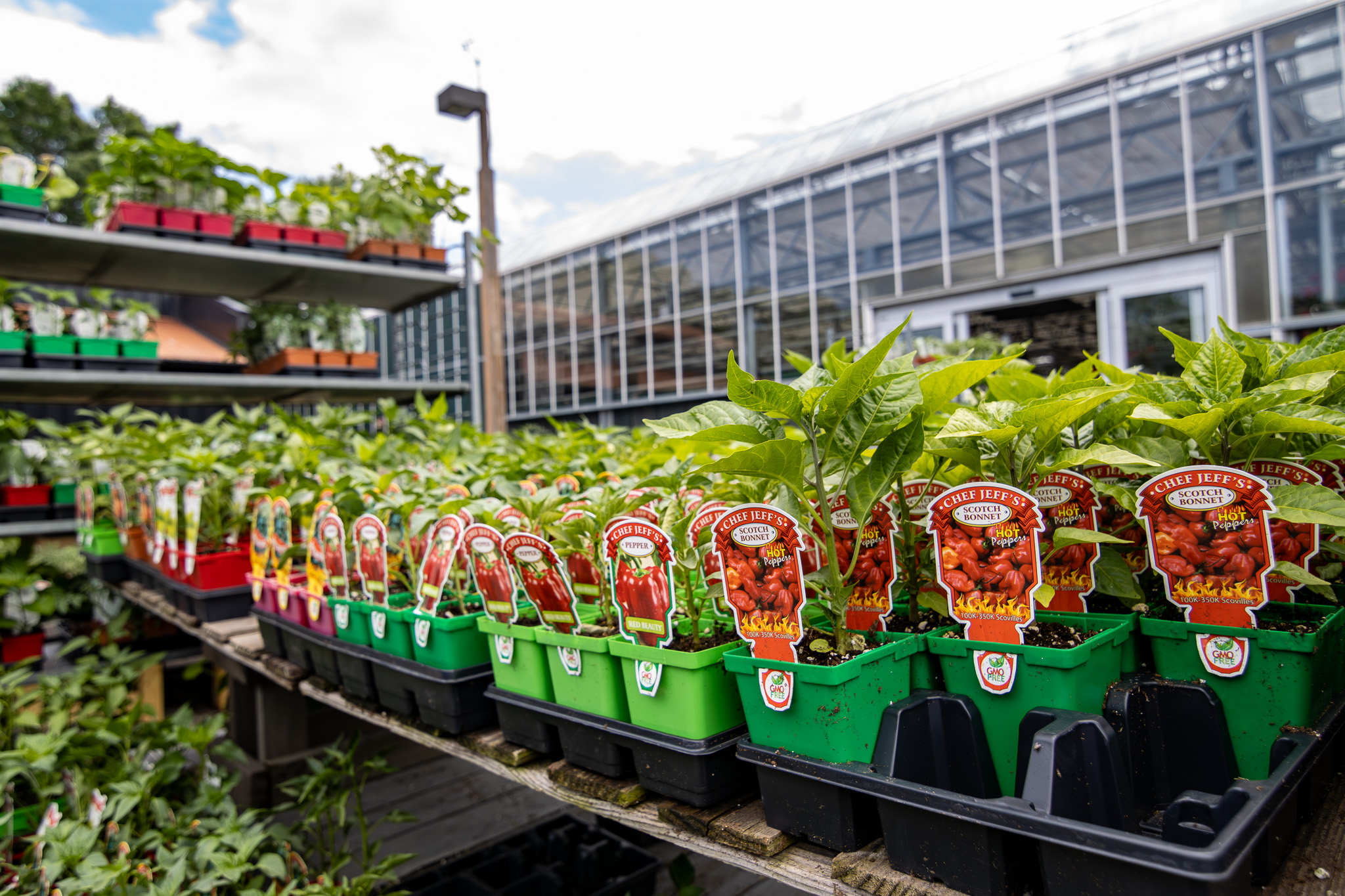 Watch for Party Crashers