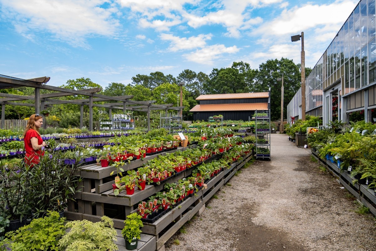 Consider the following when planting up your edible garden: 