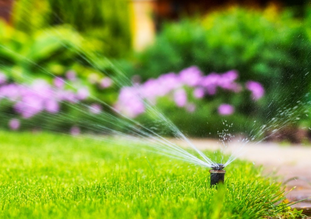 lawn sprinkler