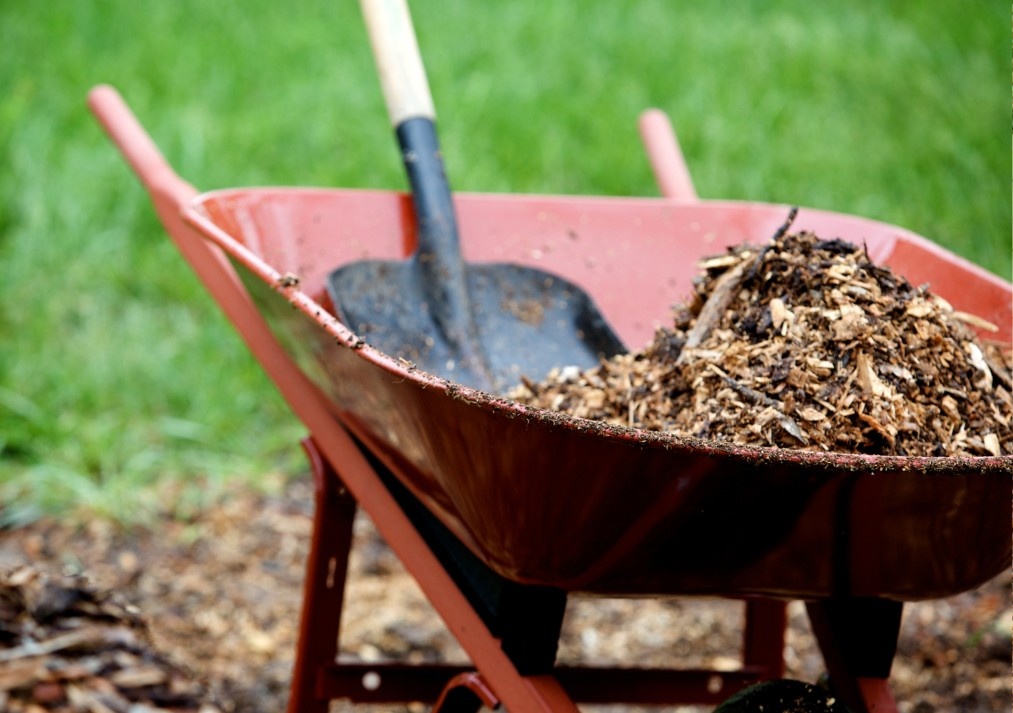 More Mulch Tips from the Matchmaker