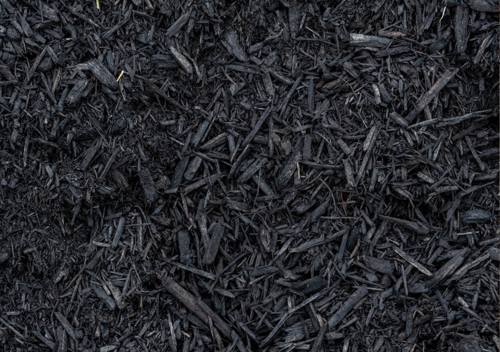 Dyed Mulch: The Bold Statement