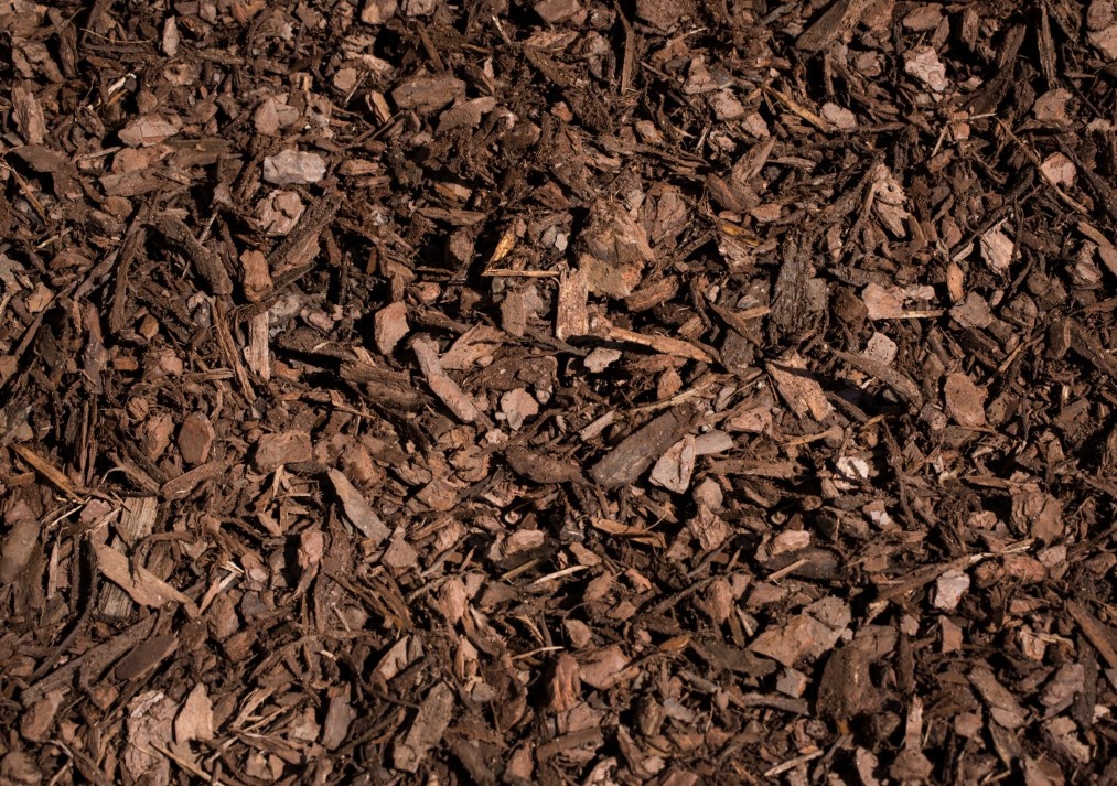 Pine Bark Mulch: The Low-Maintenance Companion
