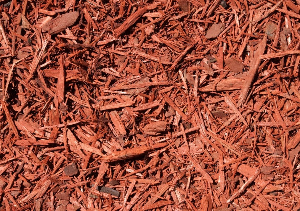 Cedar Mulch: The Natural Defender