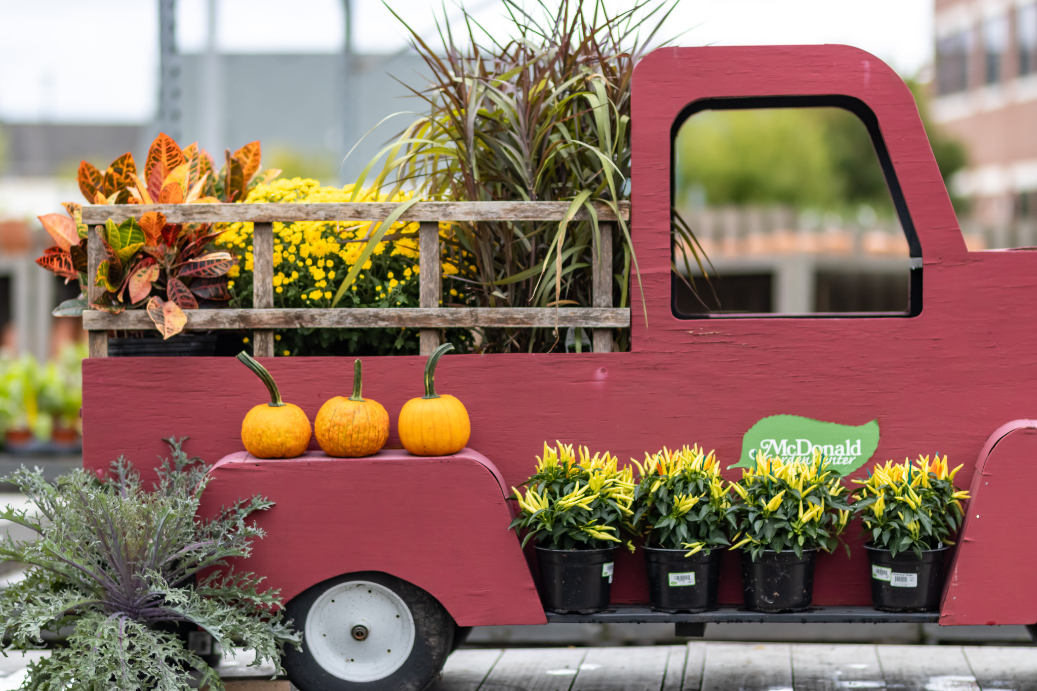 truck with plants 