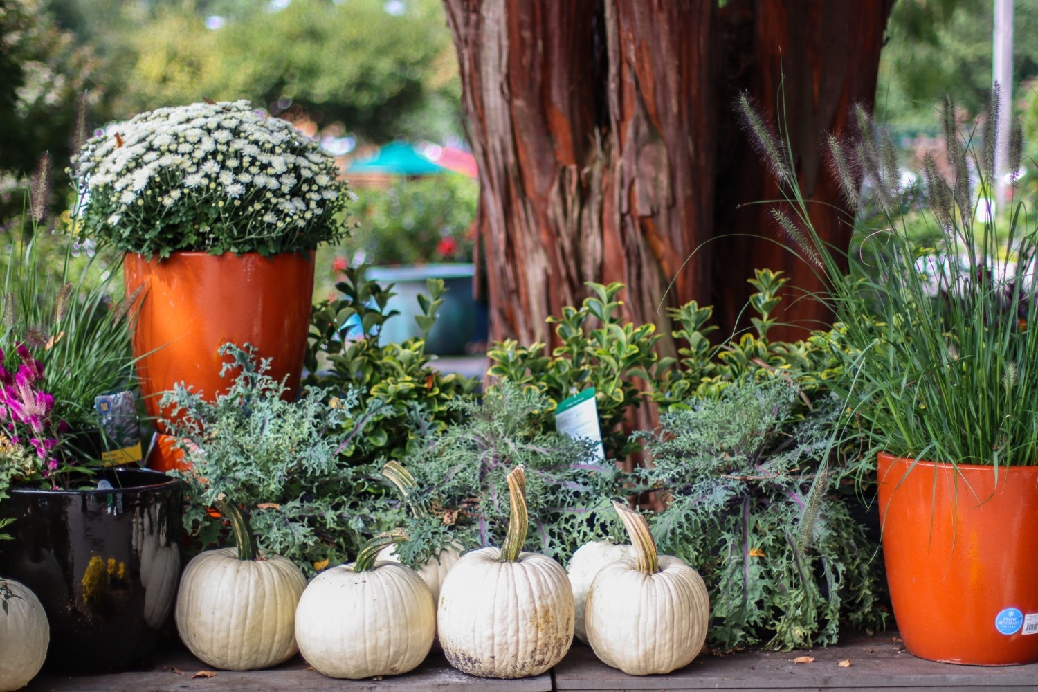 Layer with Seasonal Plants and Accents