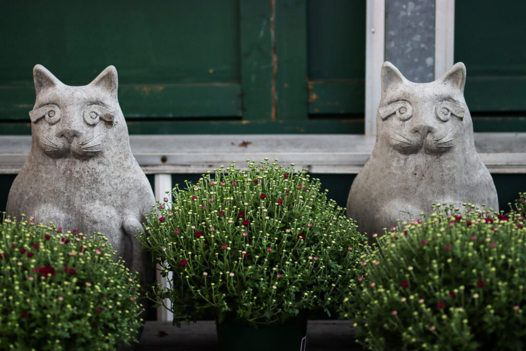 2 stone cat statues in shrubs