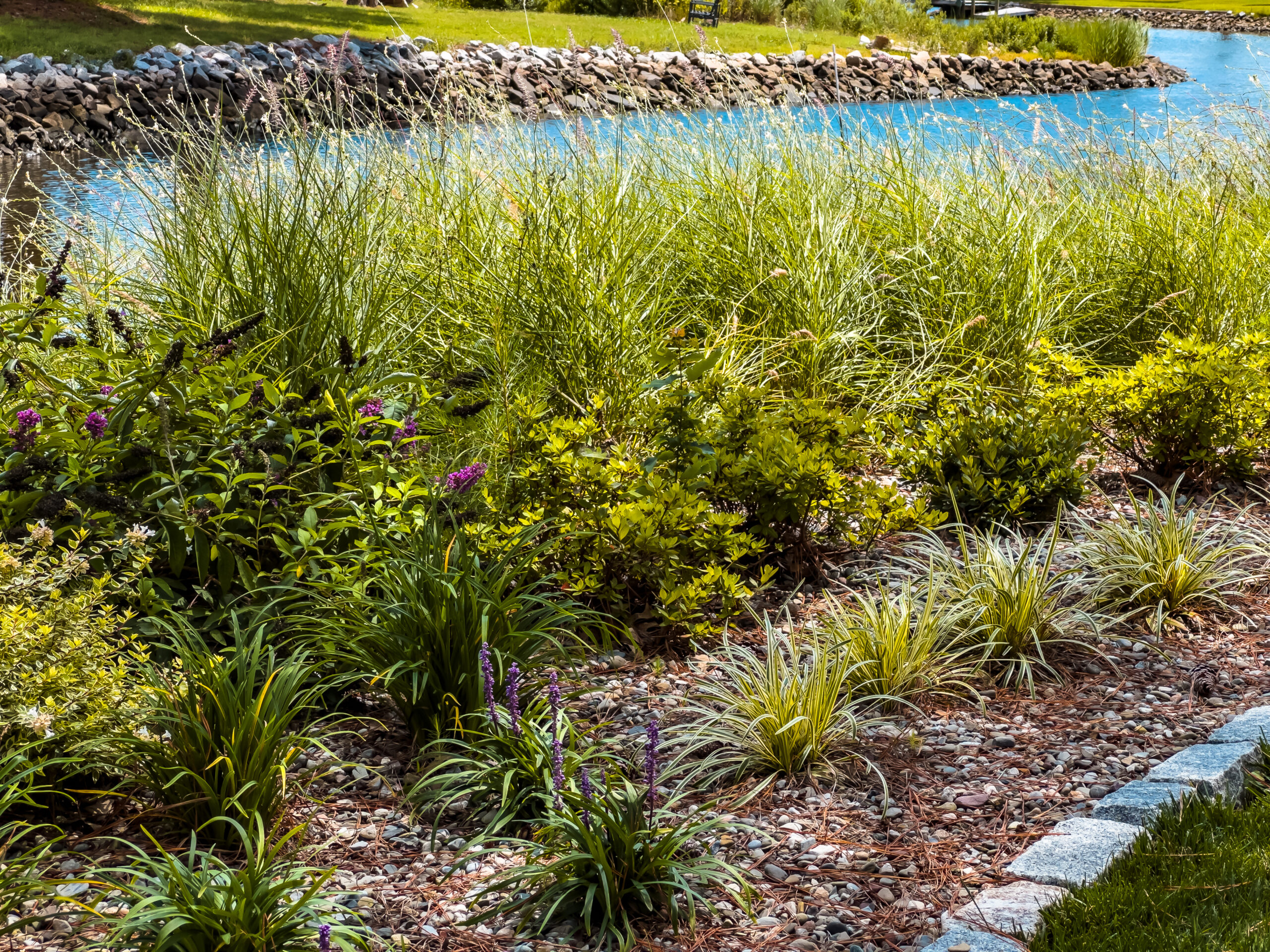coastal landscape grasses in front of a canal