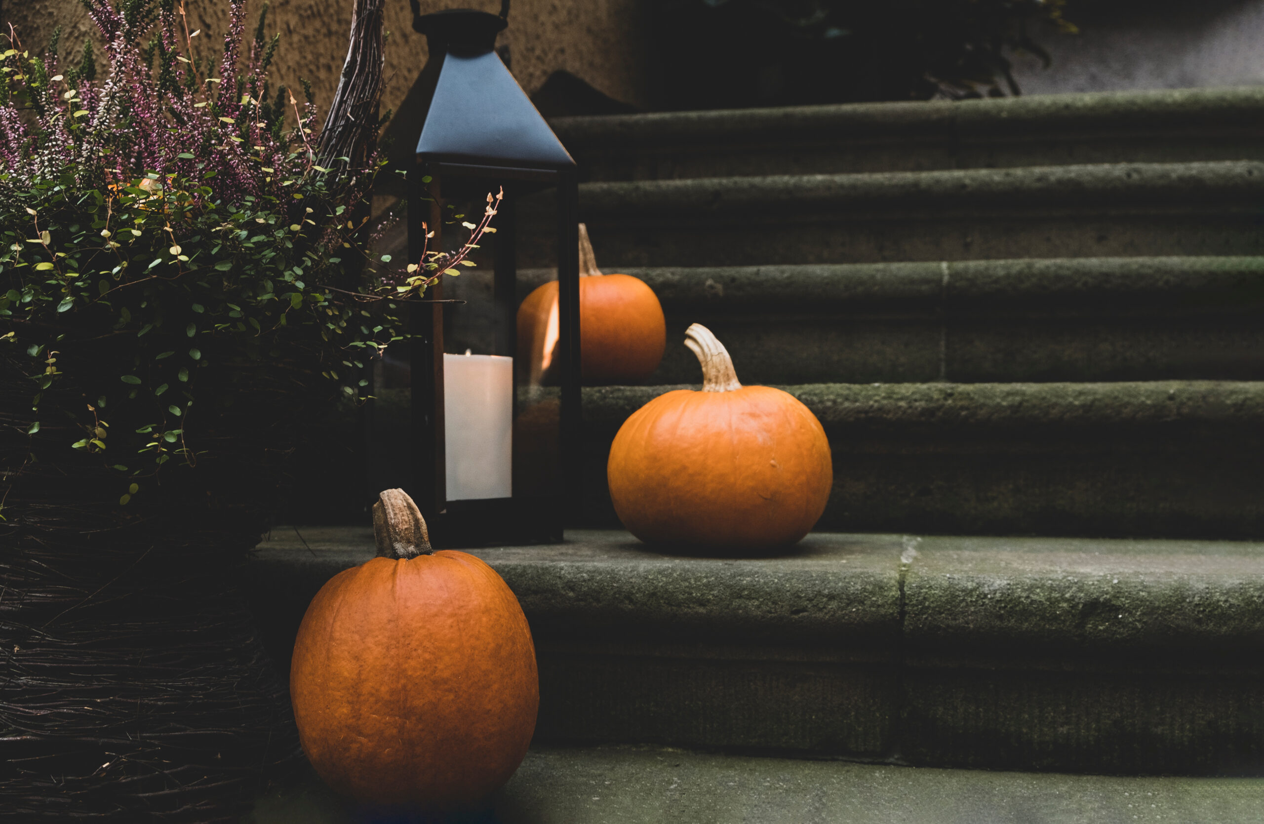Autumn pumpkins decorated in front door on the steps. Halloween decorations outside.