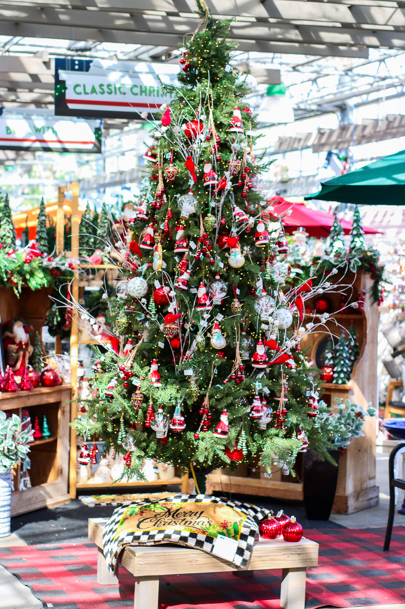 decorated classic christmas tree in the greenhouse